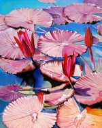 Purple Water Lillies with Red Flowers